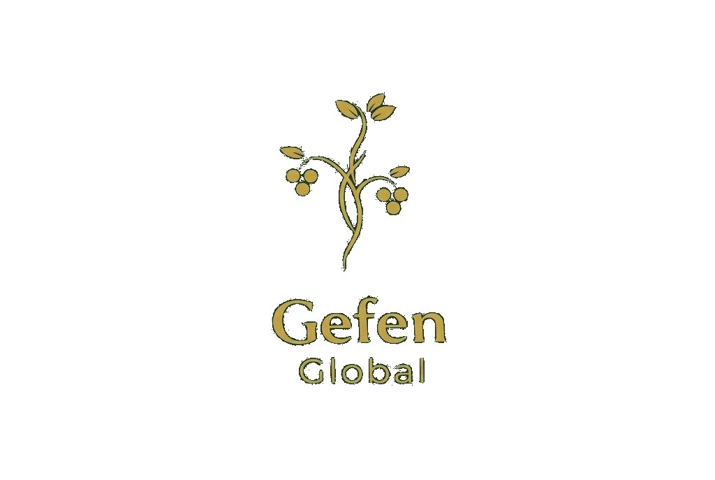 Gefen Global
